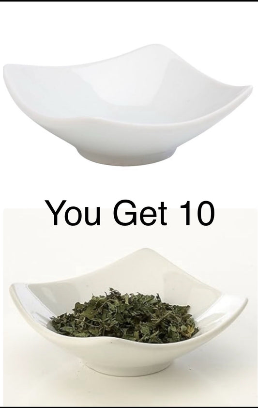 lot Of 10 New IMPULSE Vigo Porcelain Dish 2.9" x 2.9" x 1", White