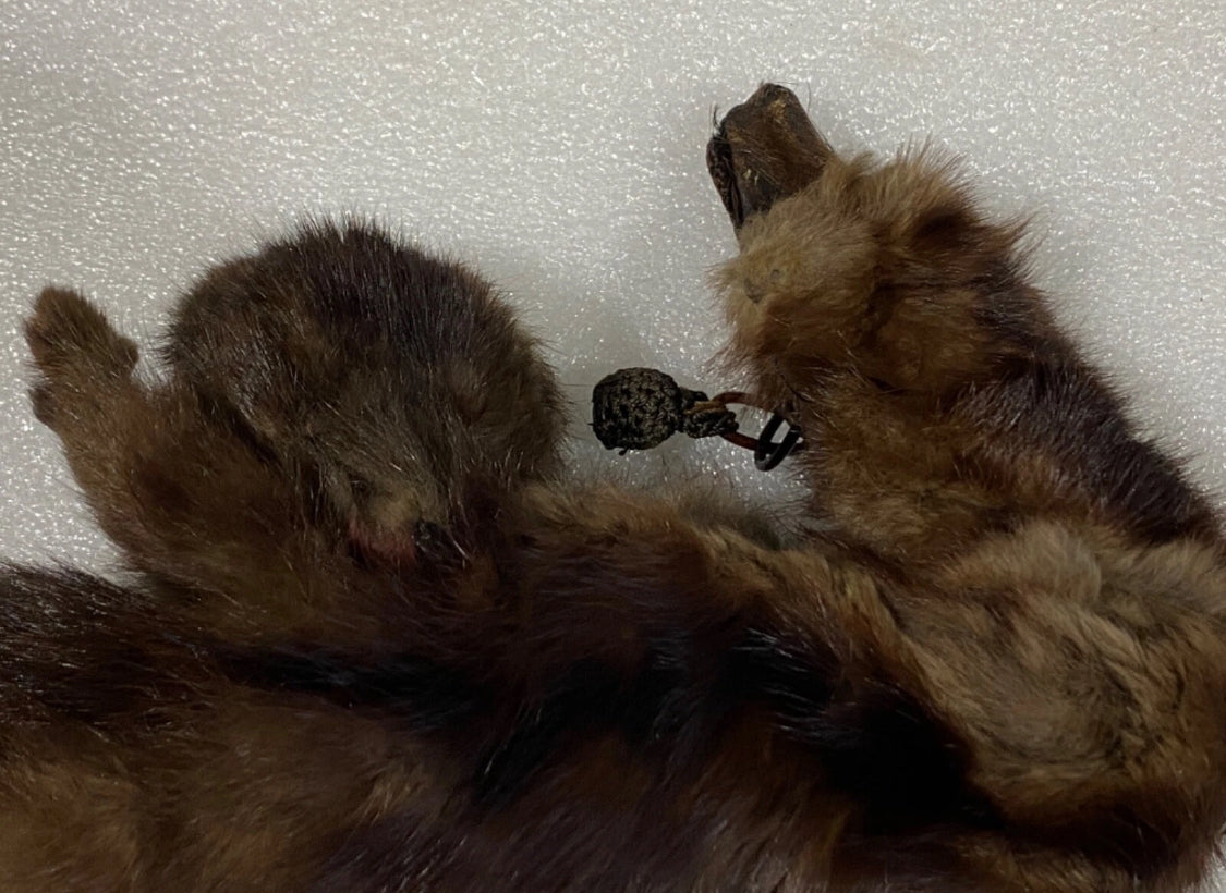 genuine Mink Fur Hand Warmer Approx. 10" With Wrist Strap & Collar Neck Scarf Approx. 21", Brown